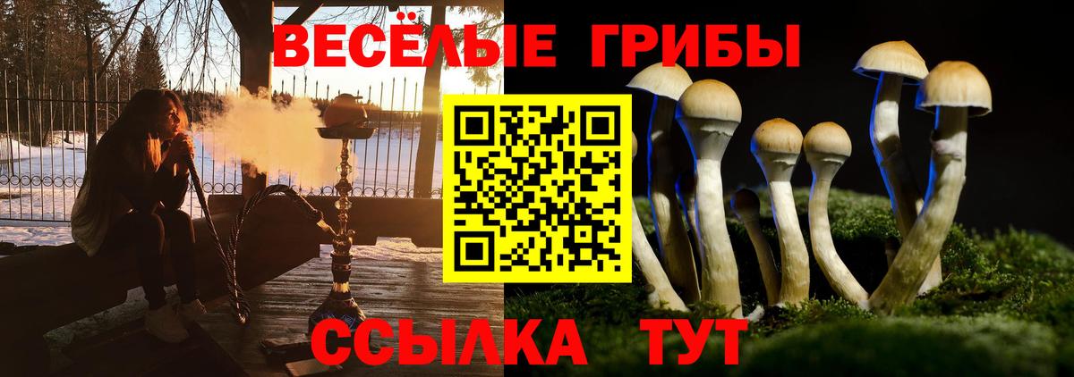 Галлюциногенные грибы GOLDEN TEACHER Екатеринбург